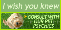 Visit Psychic Access Now!
